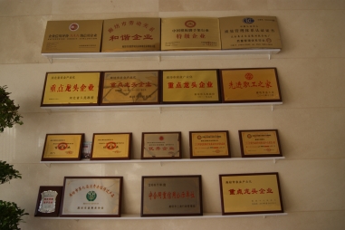 膠合板行業轉型升級過程中遇到的問題及建議