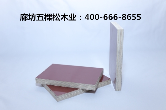 建筑模板施工應用應注意什么？